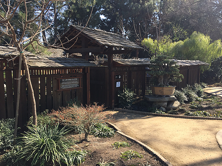 2-17-18_shinzen-bonsai